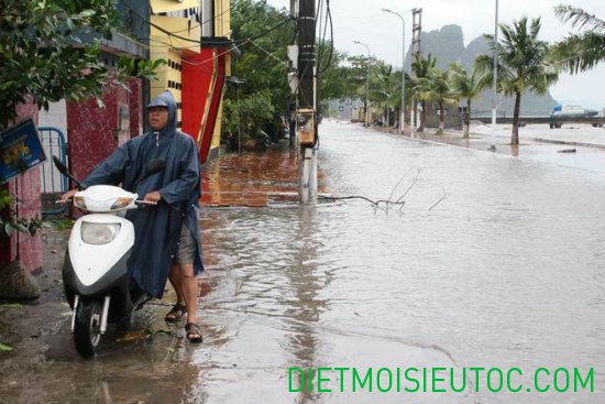 Hình ảnh mới nhất về cơn bão Kalmaegi ở Quảng Ninh