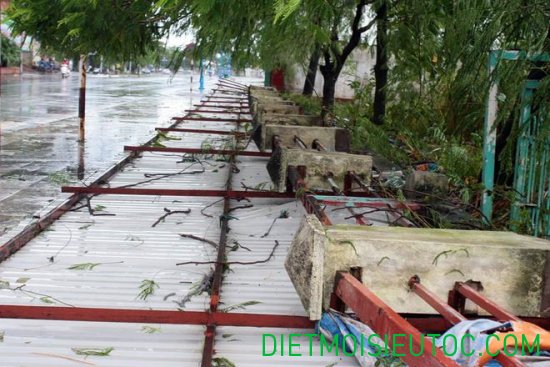 Hình ảnh mới nhất về cơn bão Kalmaegi ở Quảng Ninh