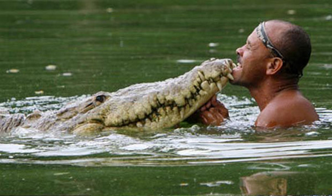 Cá sấu sông chung với người