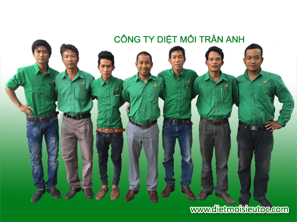 Cty diet moi Tran Anh