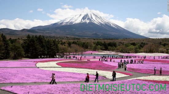 10 phong cảnh đẹp nhất ở Nhật Bản
