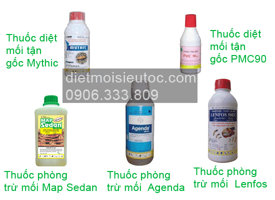 Thuoc diet moi tai tinh Quảng Ninh