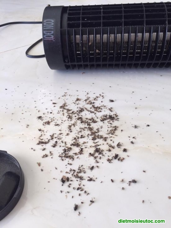 Máy bắt muỗi hiệu con dơi phương pháp diệt muỗi đơn giản nhất