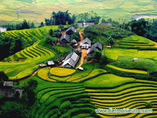 10 điểm du lịch nổi tiếng nhất Việt Nam
