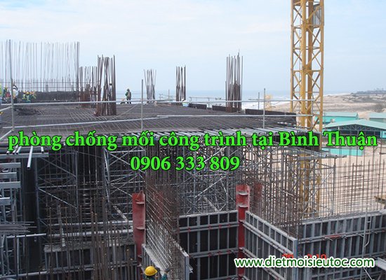 Phong chong moi cho công trình xây dựng tại Bình Thuận